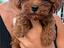 Immagine 5