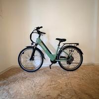 Jasion EB5 Roamer ST Ebike