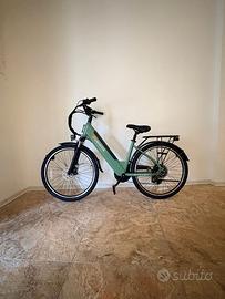 Jasion EB5 Roamer ST Ebike
