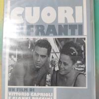 Cuori infranti.Dvd