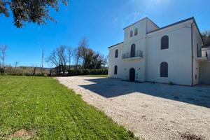 Villa l'aura appartamenti vacanza lido riccio