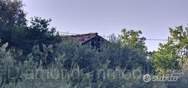 Terreno 7.000 mq e rustico a pidimonte etneo - Vista 3