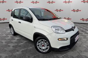 FIAT Panda 1.0 FireFly Hybrid, PRONTA CONSEGNA!