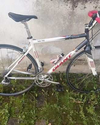 bici da corsa bdc