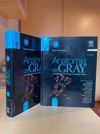 Anatomia del Gray