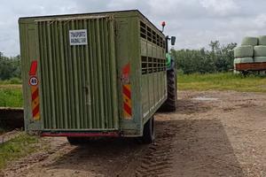 Biga per animali vivi