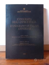 ICONOGRAFIA DEGLI ANFIBI D'ITALIA, GRANDI EDITORI