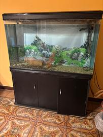 Acquario 300 litri con mobile e filtro motore