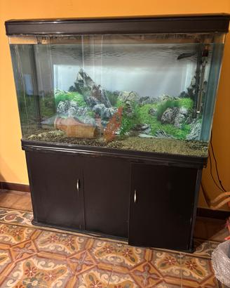 Acquario 300 litri con mobile e filtro motore