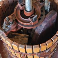 Torchio a leva da 50 per vino,più Mastellone tondo