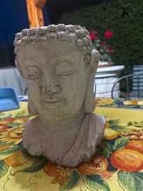 Testa budda porta pianta