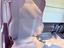 Immagine 24