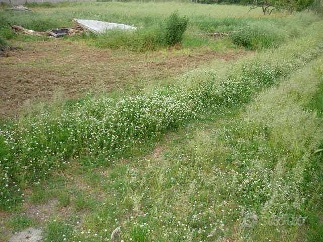 Rustico / Casale di 114 m² con 2 locali a Bientina - Vista 5