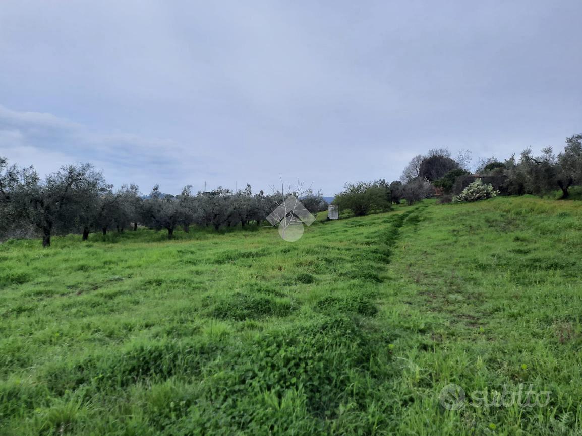 TER. AGRICOLO A VELLETRI - Ansicht 6