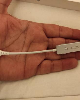DAC Portatile COZOY TAKT C
