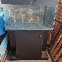 Acquario 80 x 50 x 40 con mobile