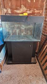 Acquario 80 x 50 x 40 con mobile