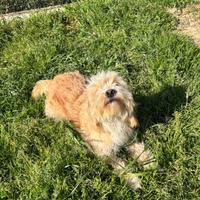 Bianca 2 anni
