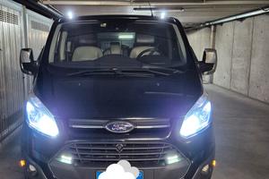 ford custom