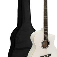 Chitarra acustica Tiger Acg4