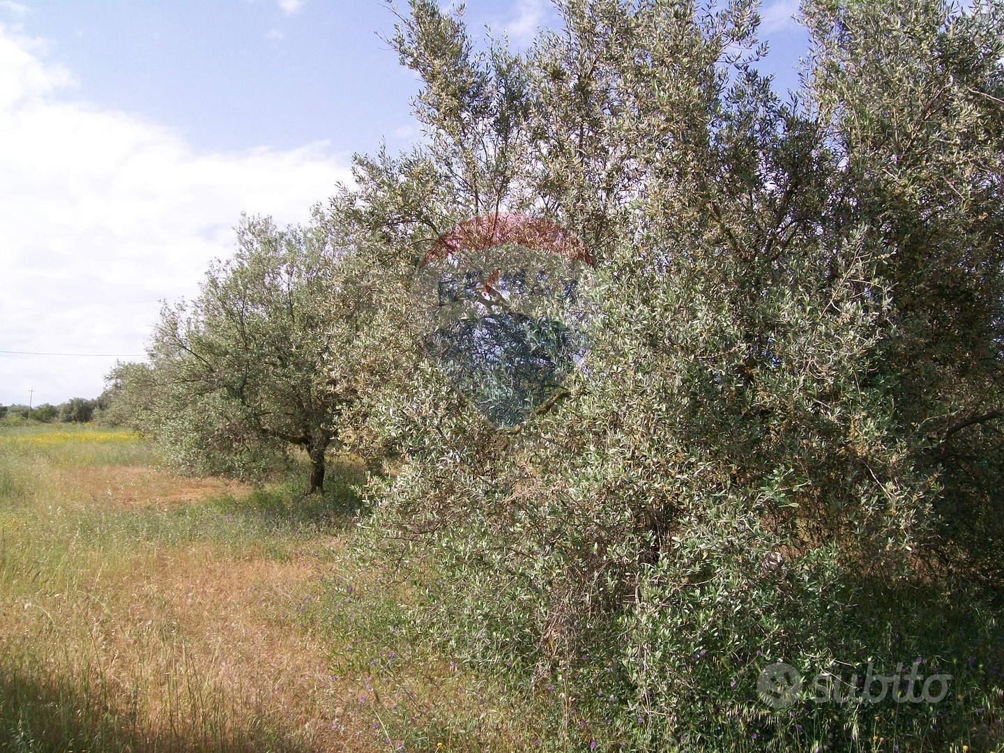 Rustico - Piazza Armerina - Altro