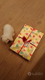 Coniglietta Minillop 6 mesi