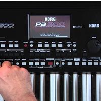 Korg Pa300 61-key Arranger Workstation + rregalo