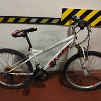 bicicletta bambino 8-10 anni