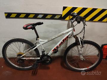 bicicletta bambino 8-10 anni