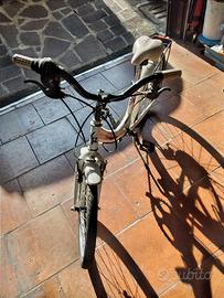 bicicletta 