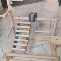 Palestrina per pappagalli