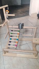 Palestrina per pappagalli