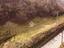 Immagine 13