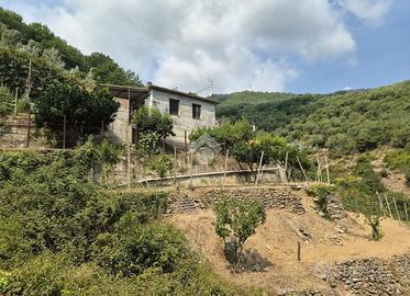 LOFT A TAGGIA
