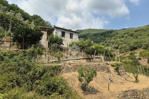 LOFT A TAGGIA
