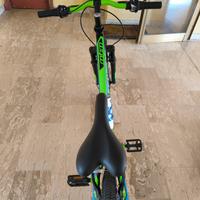 Bicicletta Mountain Bike Discrit