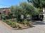 Immagine 25