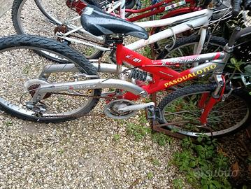 bici ragazzo pasqualato ruota 24 