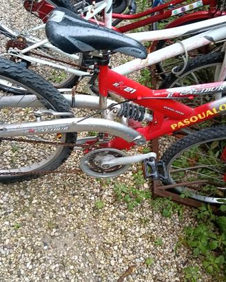 bici ragazzo pasqualato ruota 24 