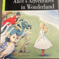 Libri Alice’s Adventure in wonderland (2 libri)