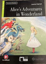 Libri Alice’s Adventure in wonderland (2 libri)
