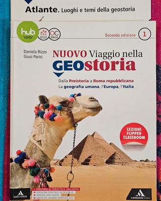 Nuovo Viaggio nella Geostoria 9788824762991