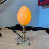 Lampada uovo di struzzo