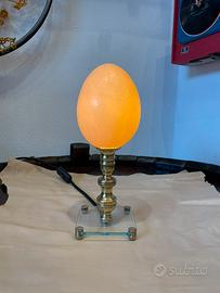 Lampada uovo di struzzo