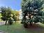 Immagine 25