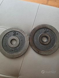 pesi palestra 