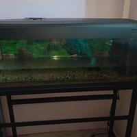 Acquario 100 litri+ sostegno in ferro 