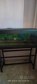 Acquario 100 litri+ sostegno in ferro 