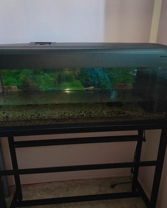 Acquario 100 litri+ sostegno in ferro 