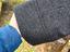 Immagine 4